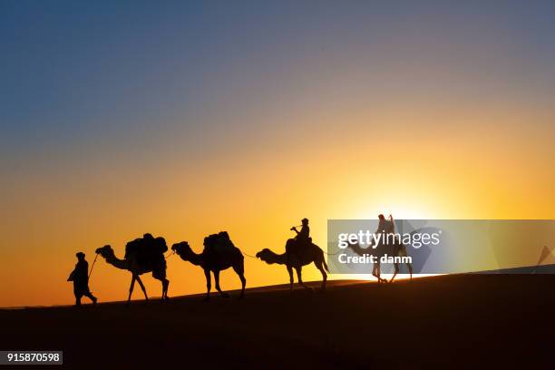 camel caravan going through the desert - dubai sunset desert stock pictures, royalty-free photos & images
