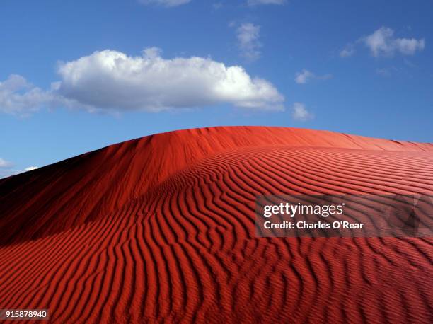 african desert at sunset - kalahari desert 個照片及圖片檔