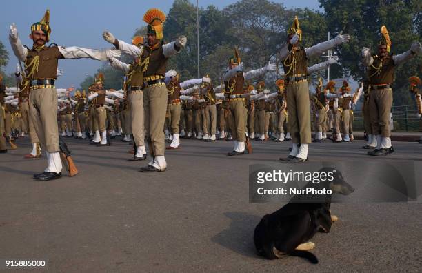 Indo-Tibetan Border Police guards practice stretching excerices along Delhi's Rajpath Road on January 13th, 2018.