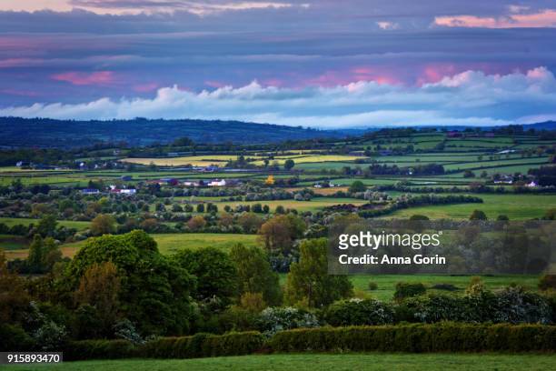rolling green farmland at sunset in kilkenny, ireland - kilkenny stock pictures, royalty-free photos & images
