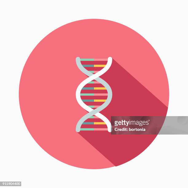genetics flat design baby icon - dna stock illustrations