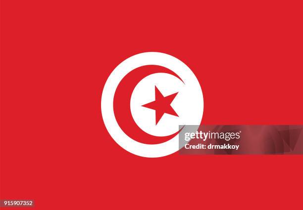 tunisia flag - tunis stock illustrations