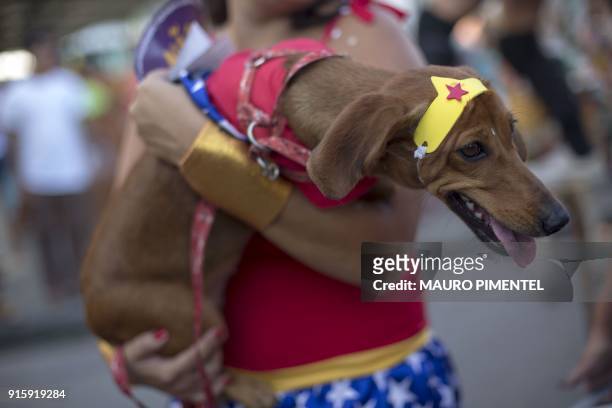 Dog wearing a Wonder Woman costume is carried by its owner during the street carnival parade of the "Loucura Suburbana" at the Engenho de Dentro...