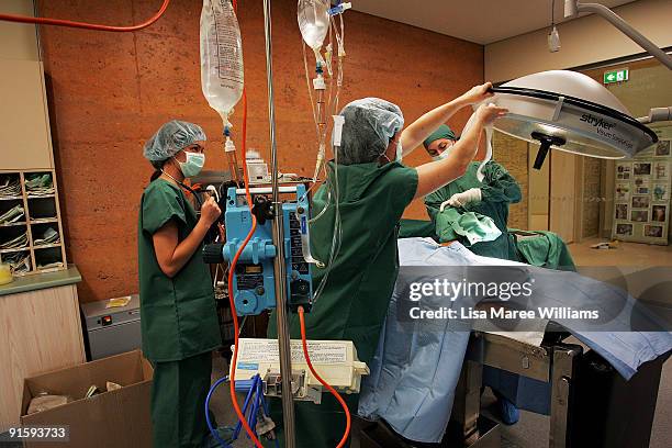 Veterinarian Dr Amber Gillett performs surgery on an injured joey kangaroo at The Australian Wildlife Hospital,the first surgery in the new facility...