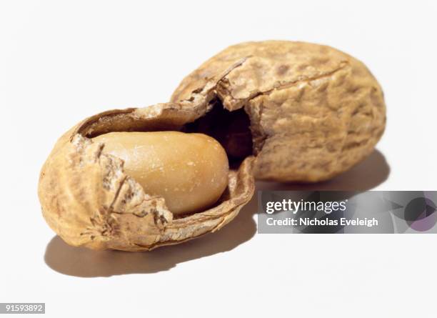 Broken Nut Shell Broken Peanut Shell Photos and Premium High Res Pictures - Getty Images