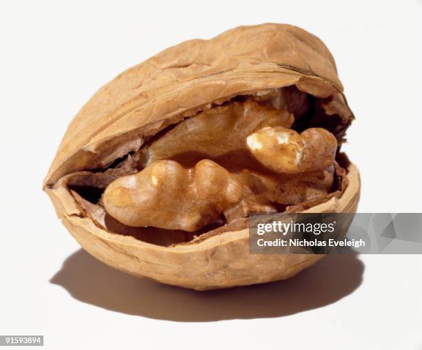 Open Nut Shell 630 Open Nutshell Stock Photos, High-Res Pictures, and Images - Getty ...