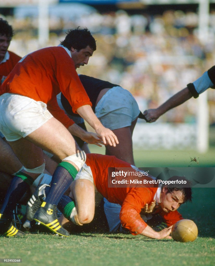 Rugby Union - Natal v British Lions