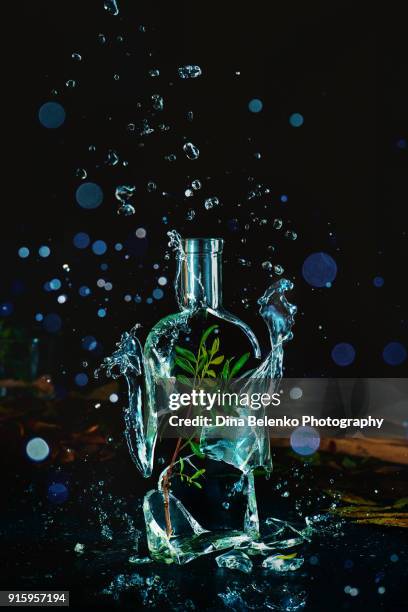 explosion of water splashes and drops inside a broken glass bottle with a green branch inside. spring and gardening still life. the force of nature concept. - genomborra bildbanksfoton och bilder