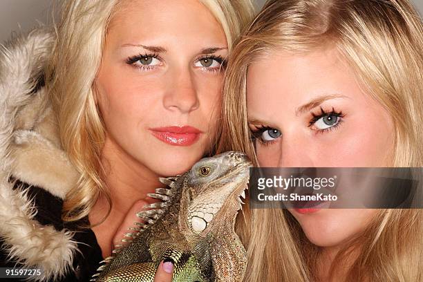 two fashion modles and one pet iguana - animals with big lips stock pictures, royalty-free photos & images