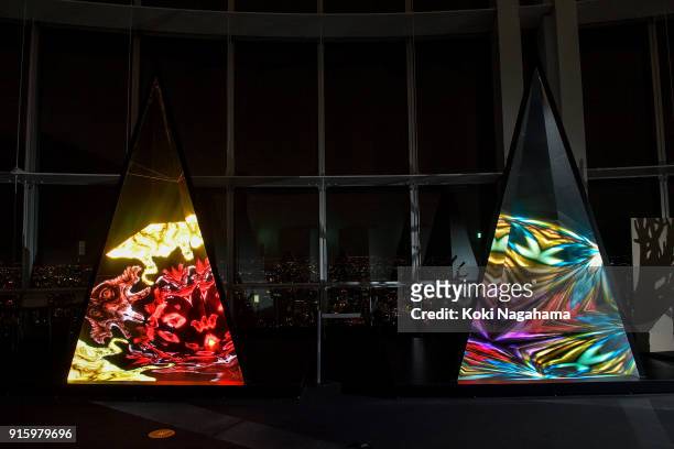 Reflective echo by WOW is displayed at the Media Ambition Tokyo at Roppongi Hills on February 8, 2018 in Tokyo, Japan. Artwork details. This work...