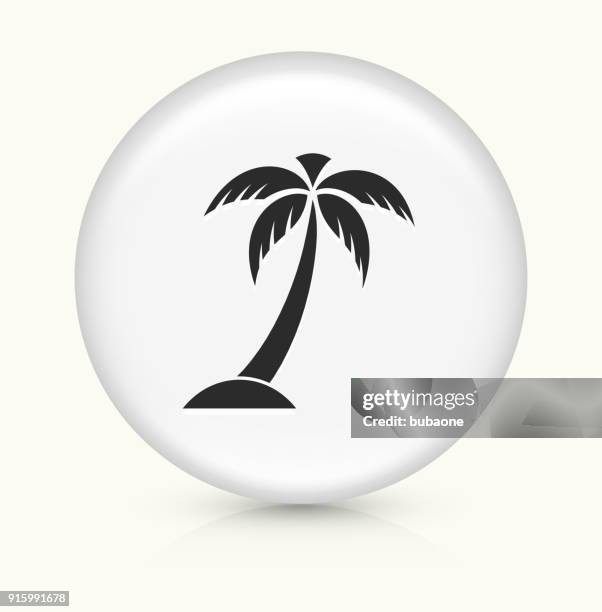 palm tree. - palm tree shadow stock illustrations
