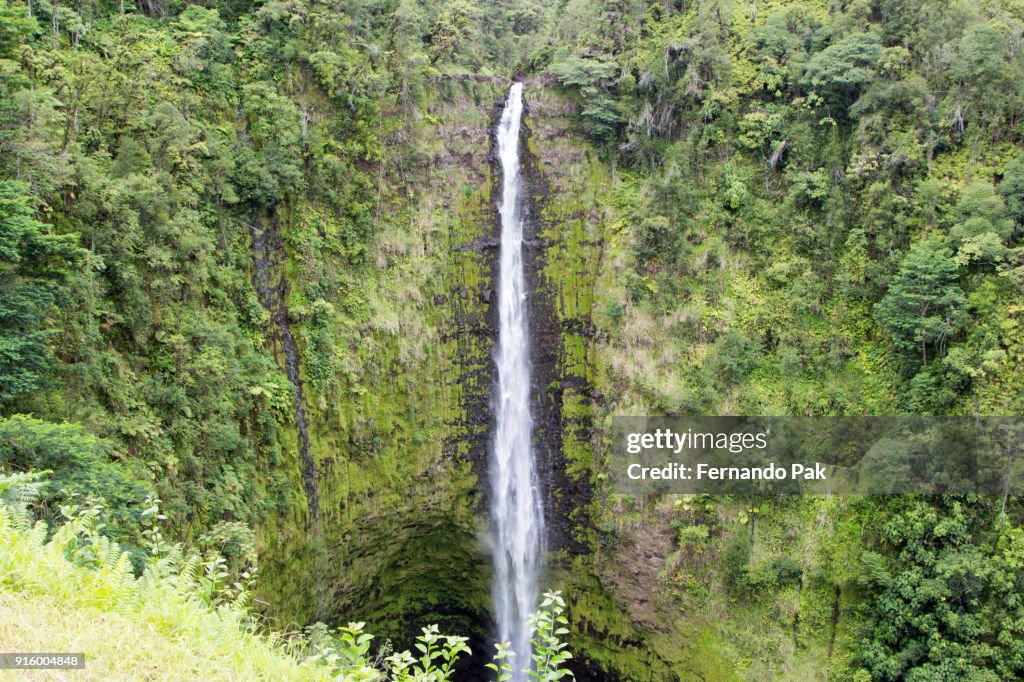 Akaka Falls State Park Big Island of Hawaii - Landscape and Greenery