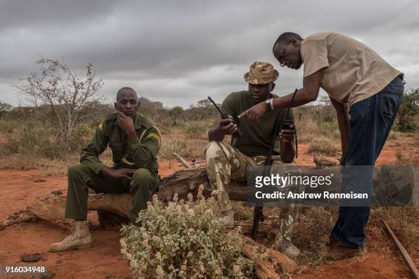Members of an elephant collaring team check their radios before an operation on February 2, 2018 in an area of ranches in Taita-Taveta, Kenya. The...