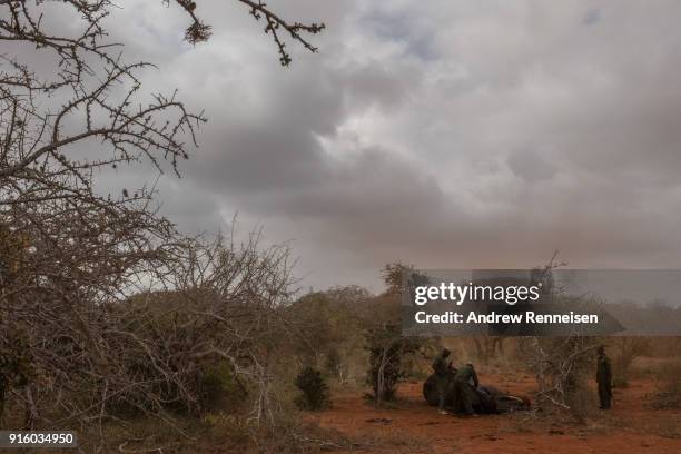 Rangers from the Kenya Wildlife Service inject an anti-serum into the ear of Salama, a female African Savannah elephant, to wake her from sedation...