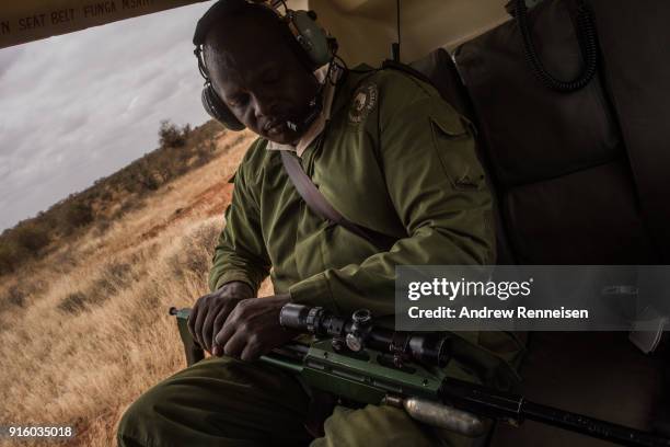 Kenya Wildlife Service veterinarian Dr. Jeremiah Poghon prepares a dart gun which is used to sedate elephants during an elephant collaring operation...
