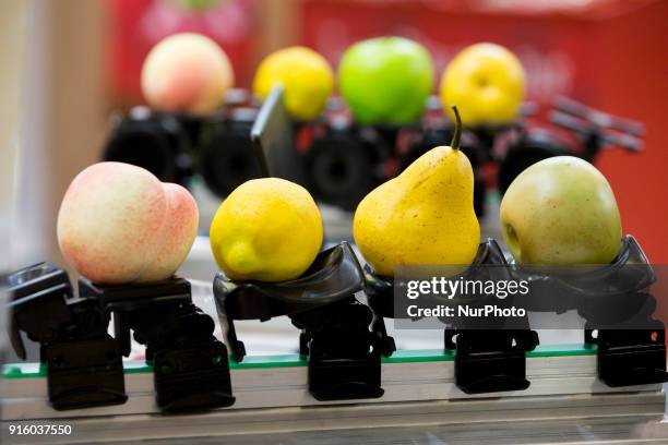 Machine for weighing fruits is pictured at the Fruit Logistica 2018 international vegetables and fruits trade fair in Berlin, Germany on February 8,...