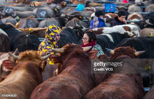 Customers purchase cattle at a livestock market on February 8, 2018 in Jinhua, China. Chinese People are preparing for the upcoming Chinese Lunar New...