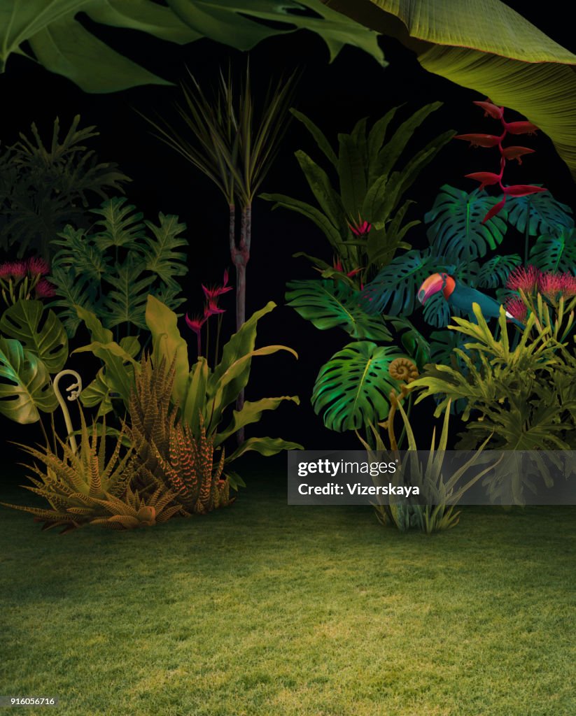 Abstract background of night jungle