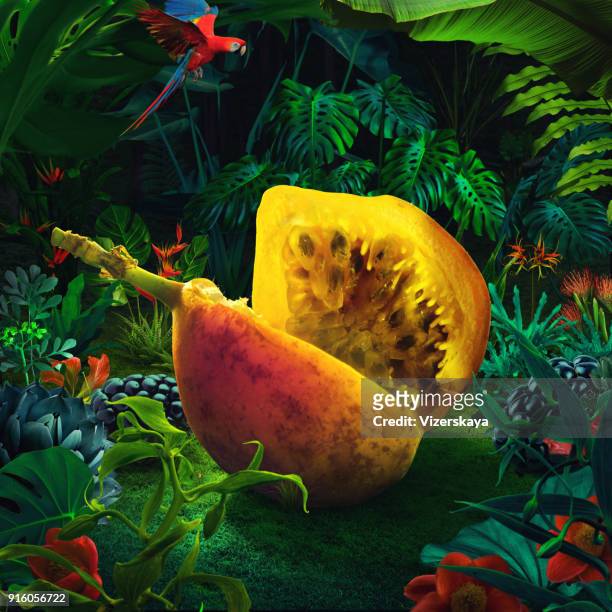 maracuyá gigante surrealista - comida flores fotografías e imágenes de stock