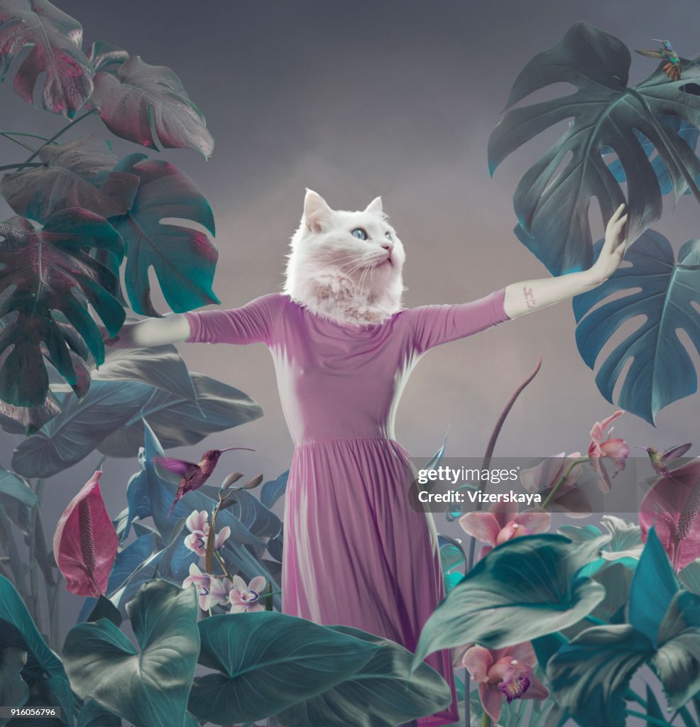 Surreal portrait of white cat