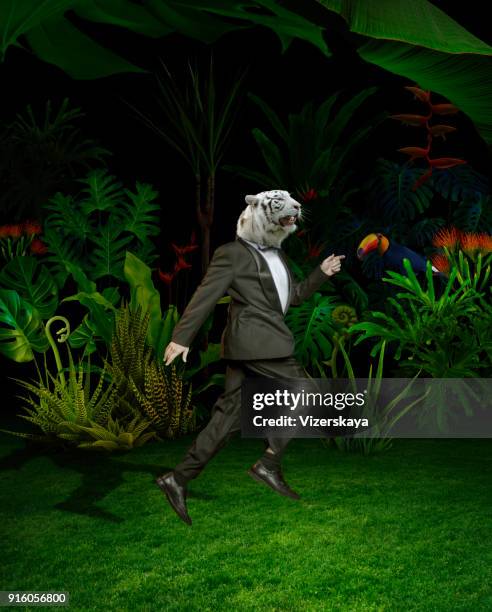 surrealistisch portret van tijger mannen in nacht jungle - tiger running stockfoto's en -beelden