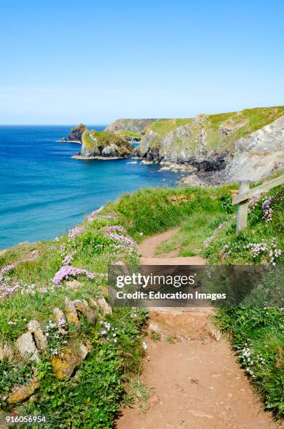 Southwest Coast Path On The Lizard Peninsular In Cornwall, England, Britain, Uk.