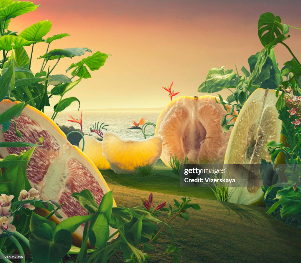 Surreal giant grapefruits on a field