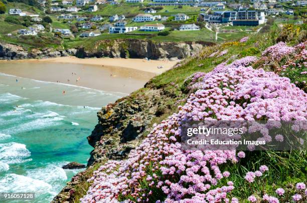 Spring Flowers At Mawgan Porth In Cornwall, England, Uk.