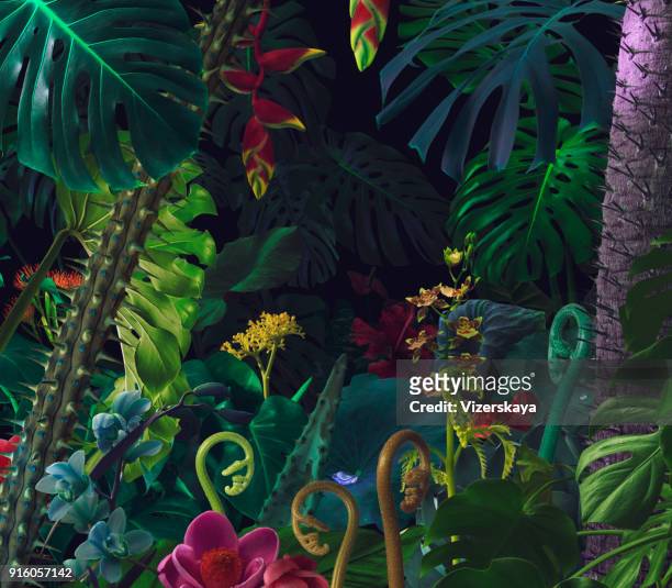 fondo de la selva de colorido nocturno - tropical fotografías e imágenes de stock