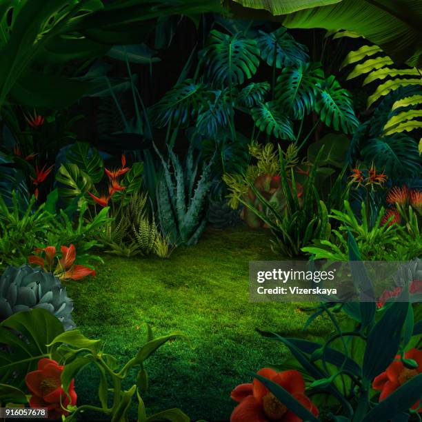 abstract night jungle background - surrealism landscape stock pictures, royalty-free photos & images