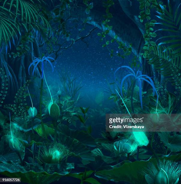 jungle de nuit surréaliste avec luminescents plantes et fleurs - fantasy forrest photos et images de collection