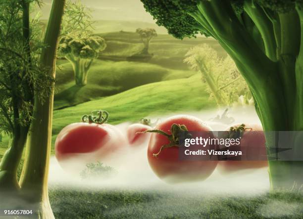 tocchi giganti surreali con broccoli e finocchio in campo verde con nebbia - campo di pomodori foto e immagini stock