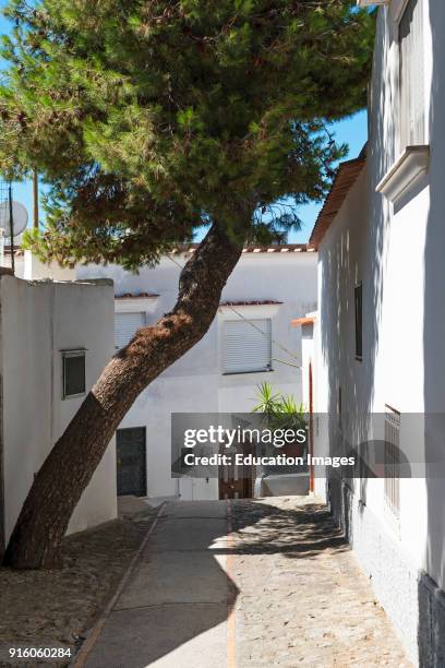 Traditional Homes In The Ancient Boffe District Of Ana Capri On The Island Of Capri, Italy.