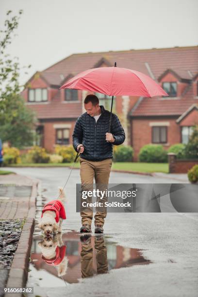 mid adult man walking dog - drink umbrella stock pictures, royalty-free photos & images