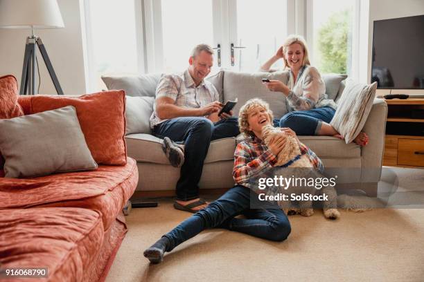 quality time met familie - family with dog stockfoto's en -beelden