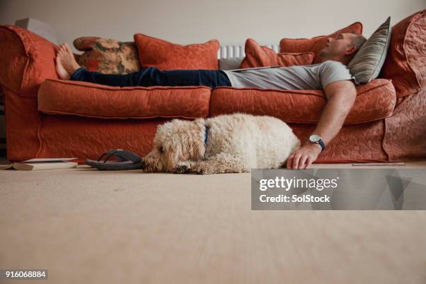 relájese con el perro - laziness fotografías e imágenes de stock