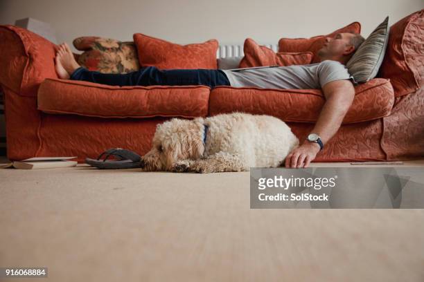 ontspannen met de hond - couch potato stockfoto's en -beelden