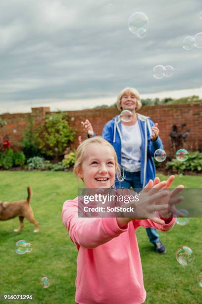 playing with bubbles in the garden - cockapoo stock pictures, royalty-free photos & images
