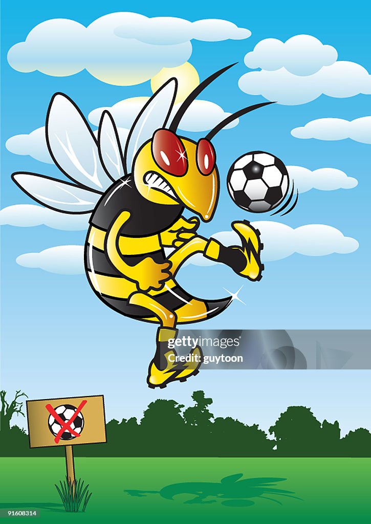 Soccer Hornet