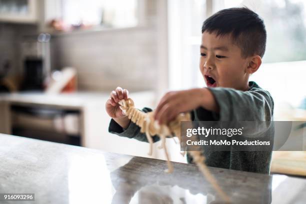 young boy playing with dinosaur model at home - dinosaur toy i stock pictures, royalty-free photos & images