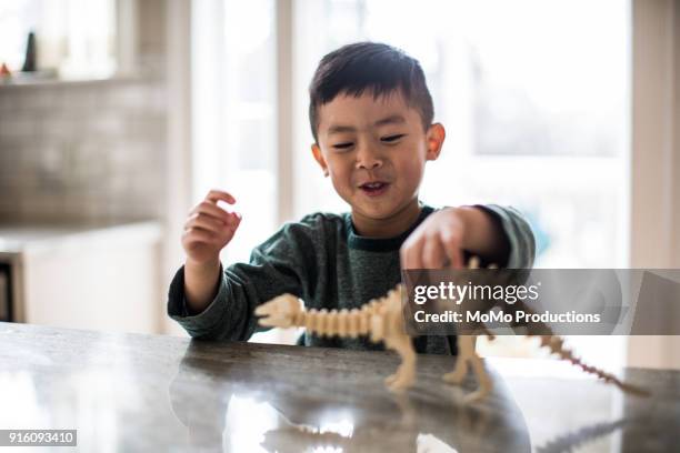 young boy playing with dinosaur model at home - chinese model bildbanksfoton och bilder