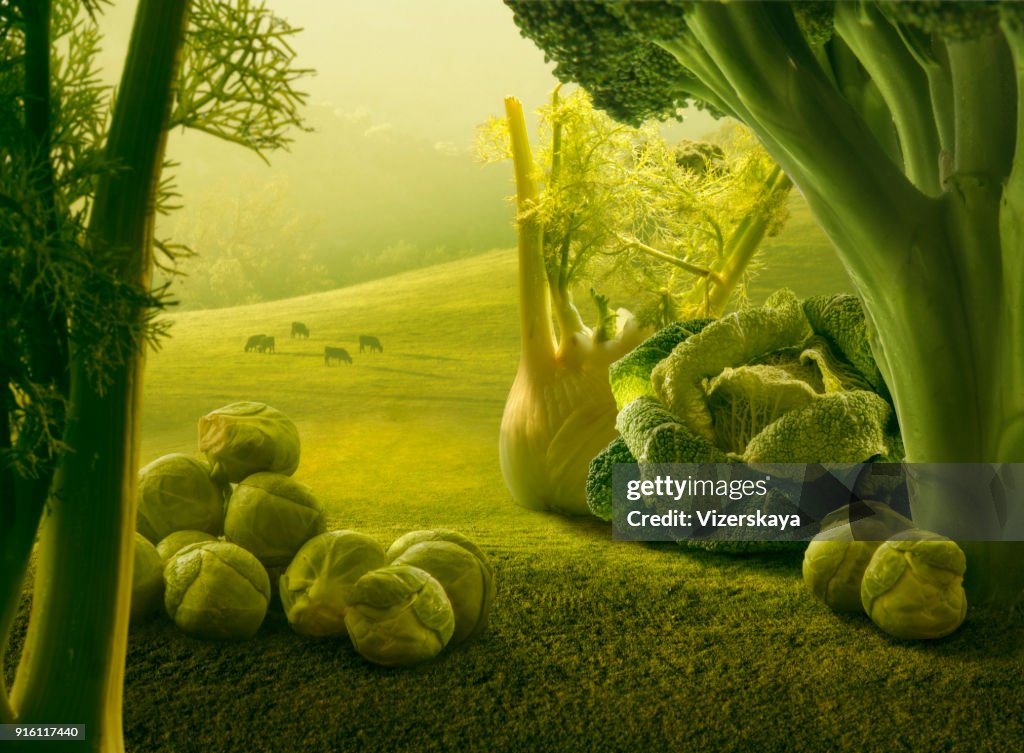 Surreal giant green vegetables in sunset field