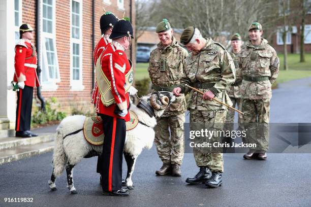 Mercian Regiment Photos And Premium High Res Pictures Getty Images mercian-regiment-photos-and-premium-high-res-pictures-getty-images