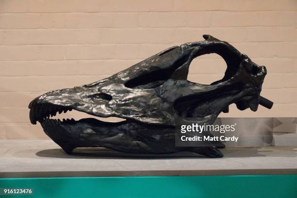 Model of the skull of Dippy the dinosaur, a diplodocus skeleton on loan from the Natural History Museum as it is unveiled at Dorset County Museum on...