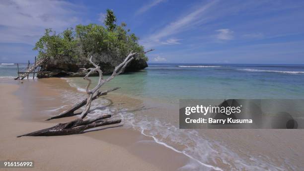 dodola island landscape. - north maluku stock pictures, royalty-free photos & images