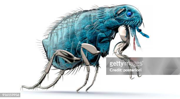digital safety concept electronic computer bug isolated - posteriori stock pictures, royalty-free photos & images