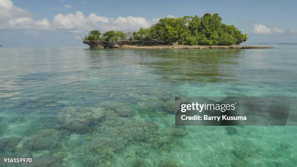 dodola island landscape. - north maluku stock pictures, royalty-free photos & images