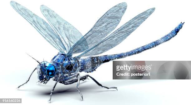 digital safety concept electronic computer bug isolated - beetle isolated stock pictures, royalty-free photos & images