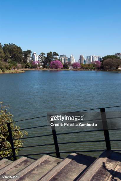 ibirapuera park, sao paulo, brazil - top view of ibirapuera park in sao paulo brazil stock pictures, royalty-free photos & images