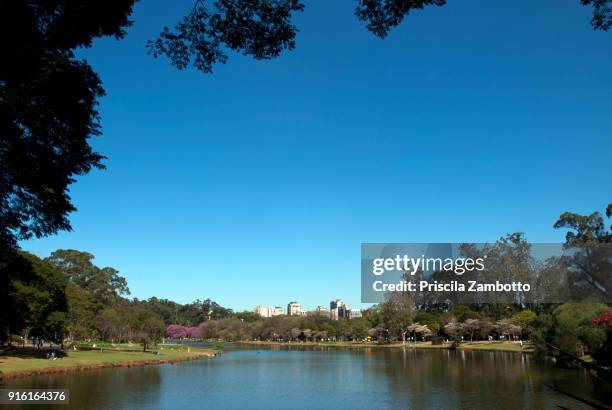 ibirapuera park, sao paulo, brazil - ibirapuera park fotografías e imágenes de stock